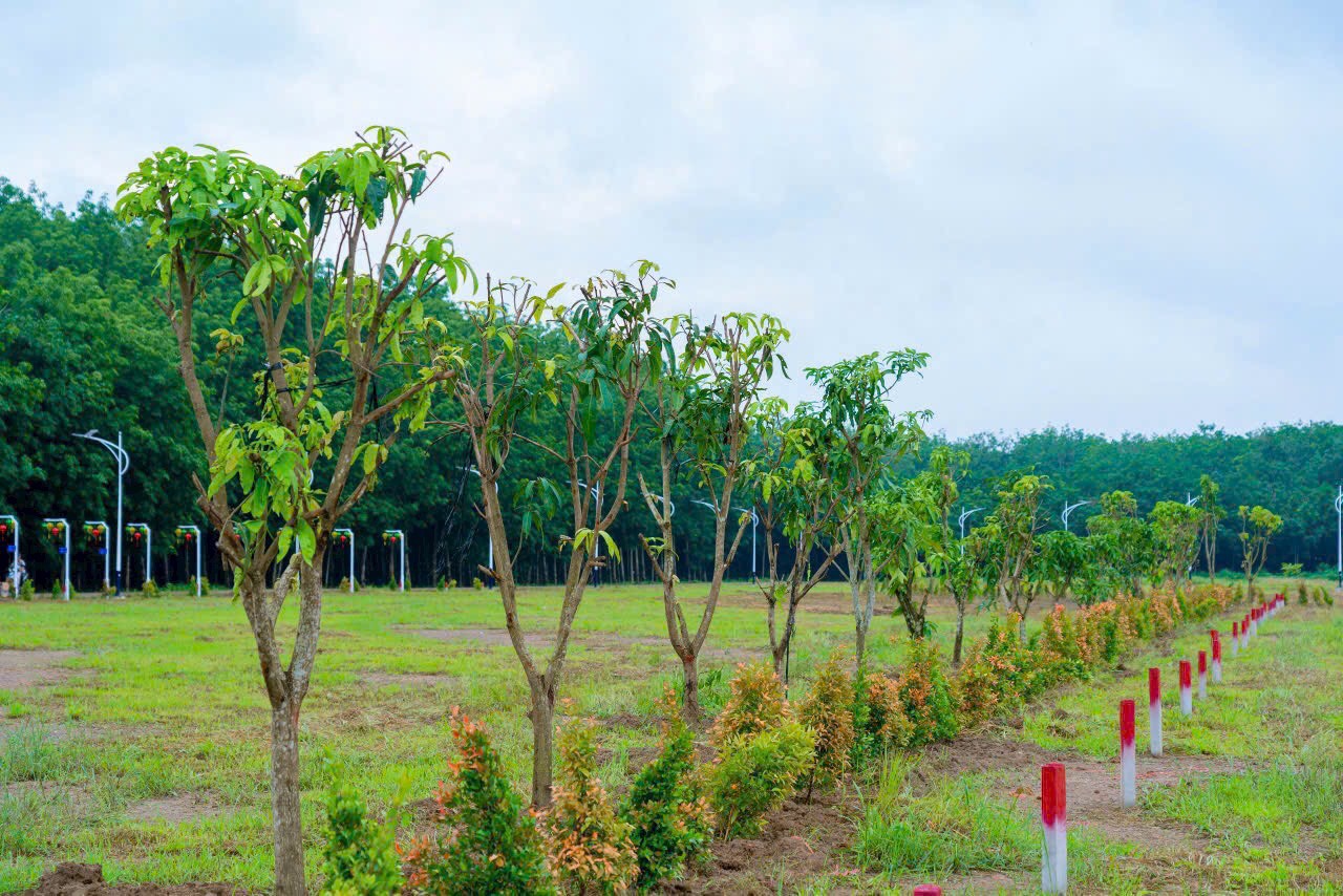 khu dân cư tân thành thành phố đồng xoài